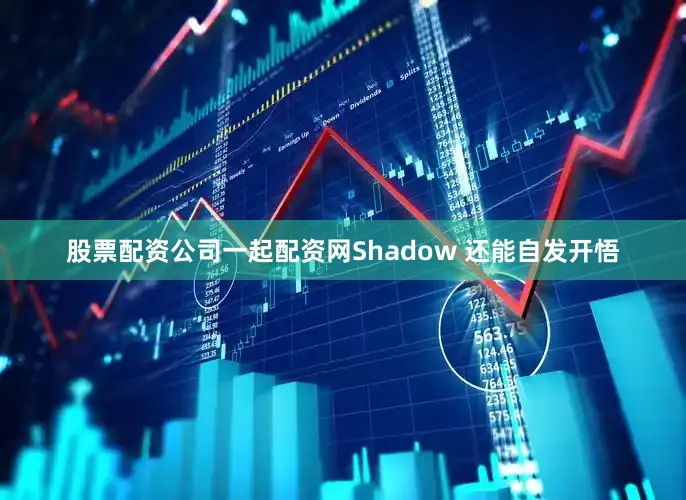 股票配资公司一起配资网Shadow 还能自发开悟