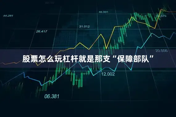 股票怎么玩杠杆就是那支“保障部队”